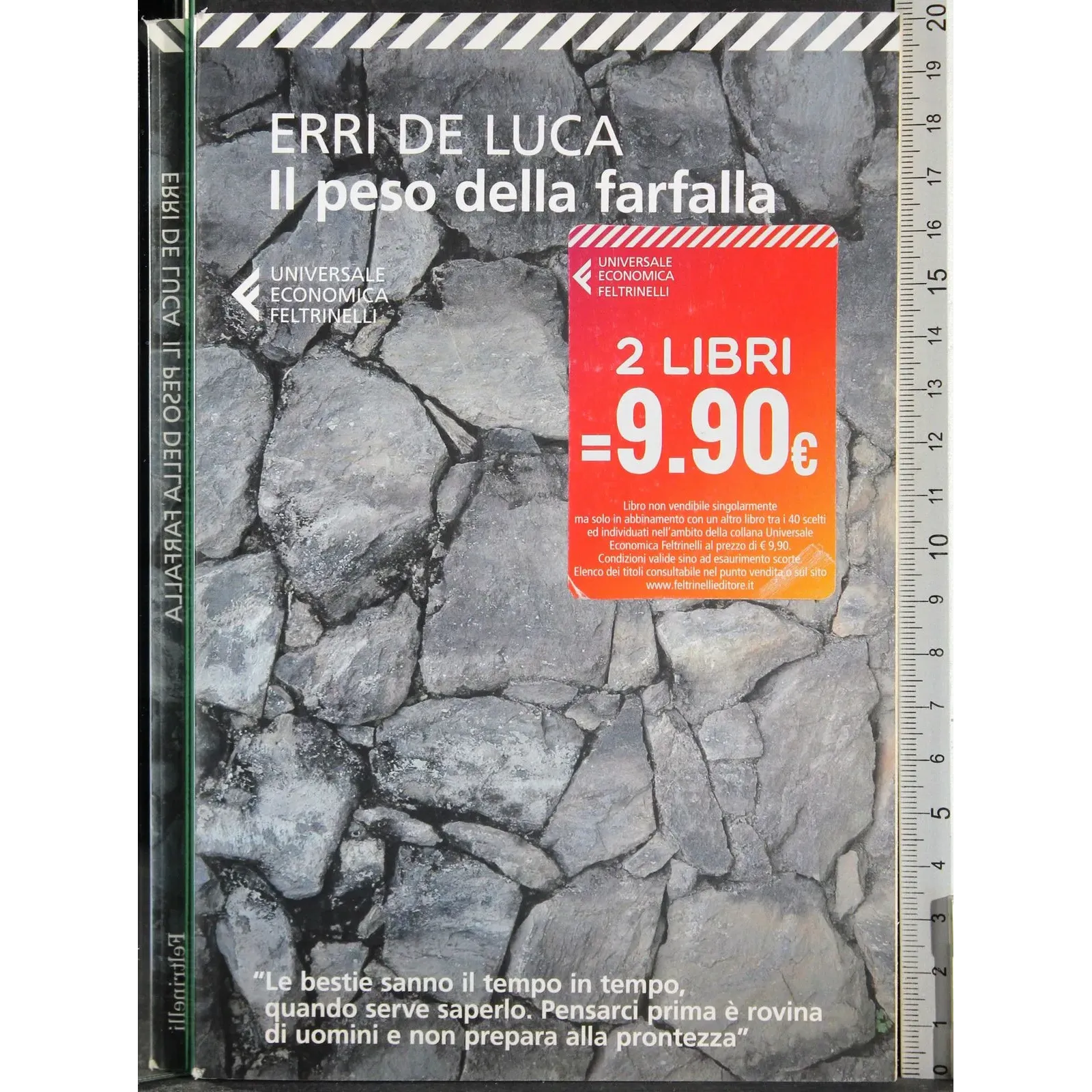 Il peso della farfalla