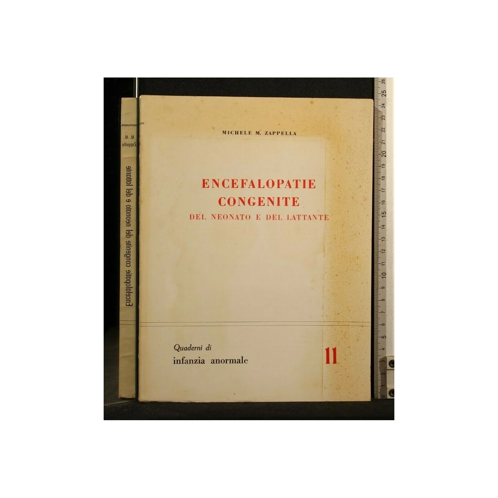 ENCEFALOPATIE CONGENITE DEL NEONATO E DEL LATTANTE QUADERNI DI