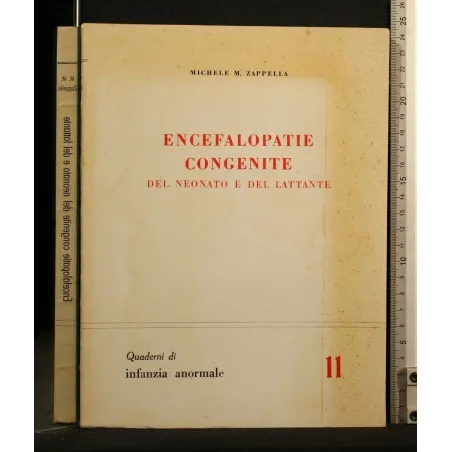 ENCEFALOPATIE CONGENITE DEL NEONATO E DEL LATTANTE QUADERNI DI