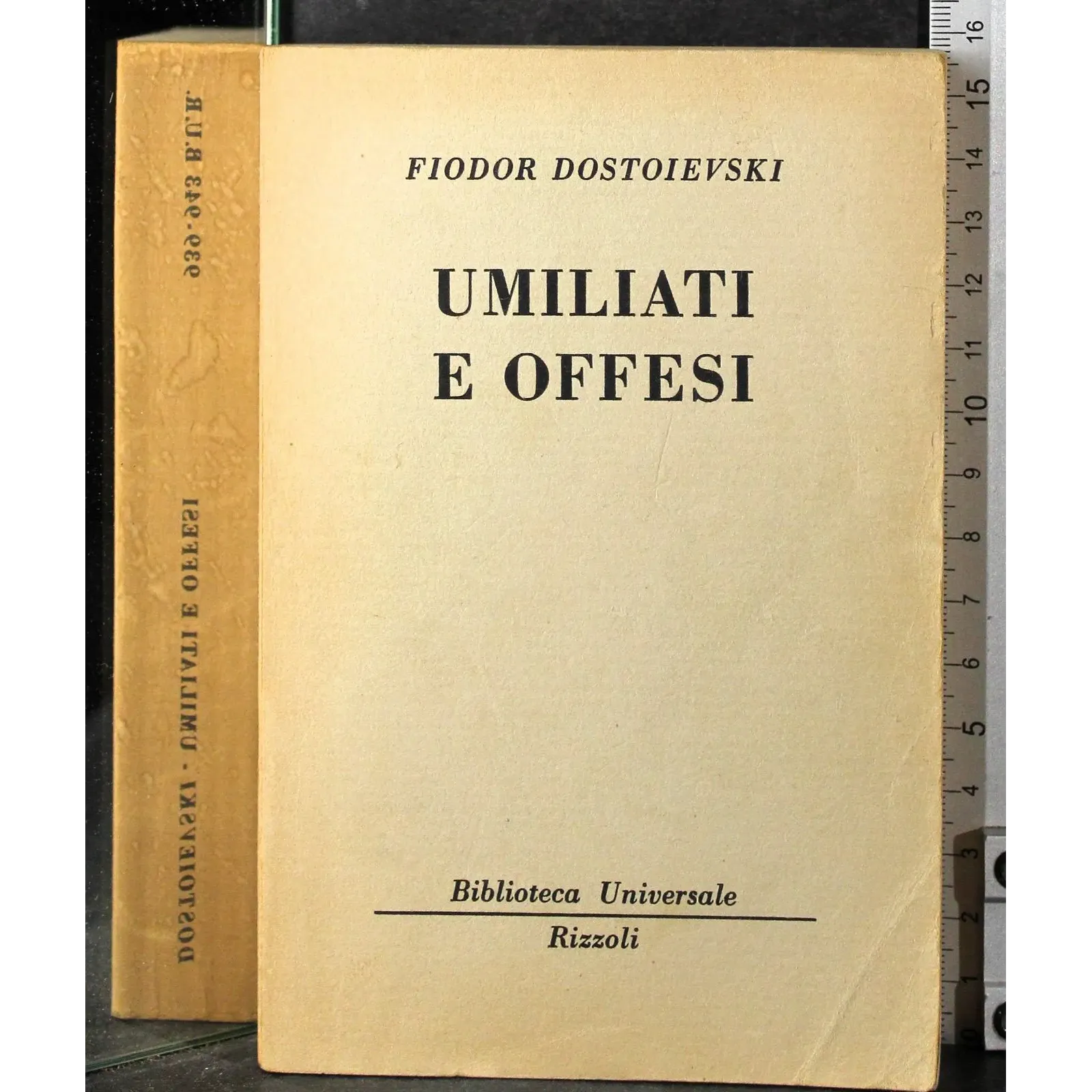 Umiliati e offesi