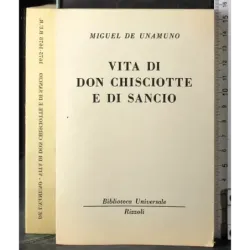 Vita di Don Chisciotte e di Sancio