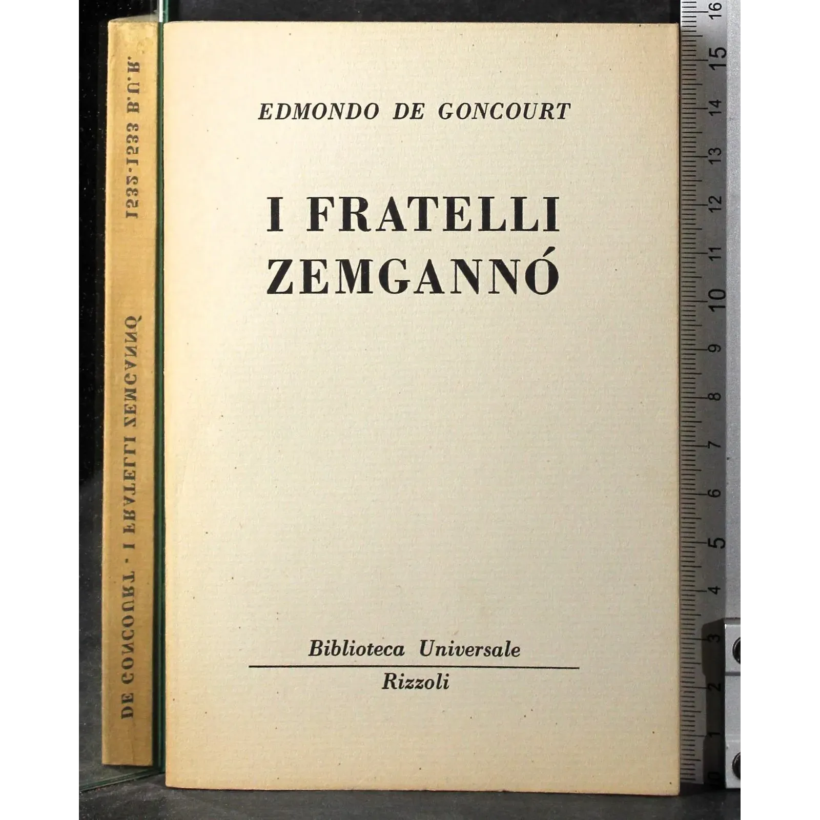 I fratelli Zemgannò
