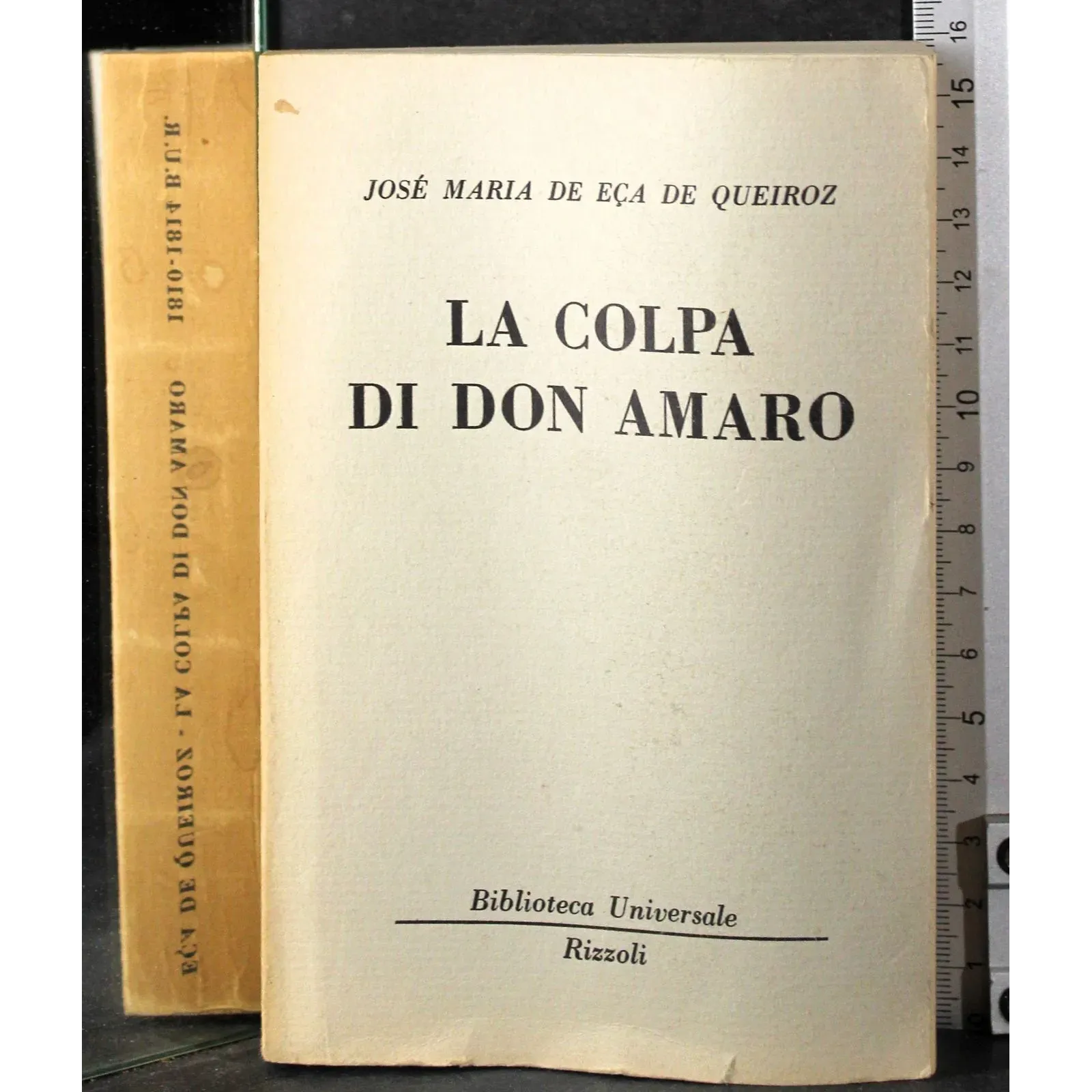 La colpa di Don Amaro