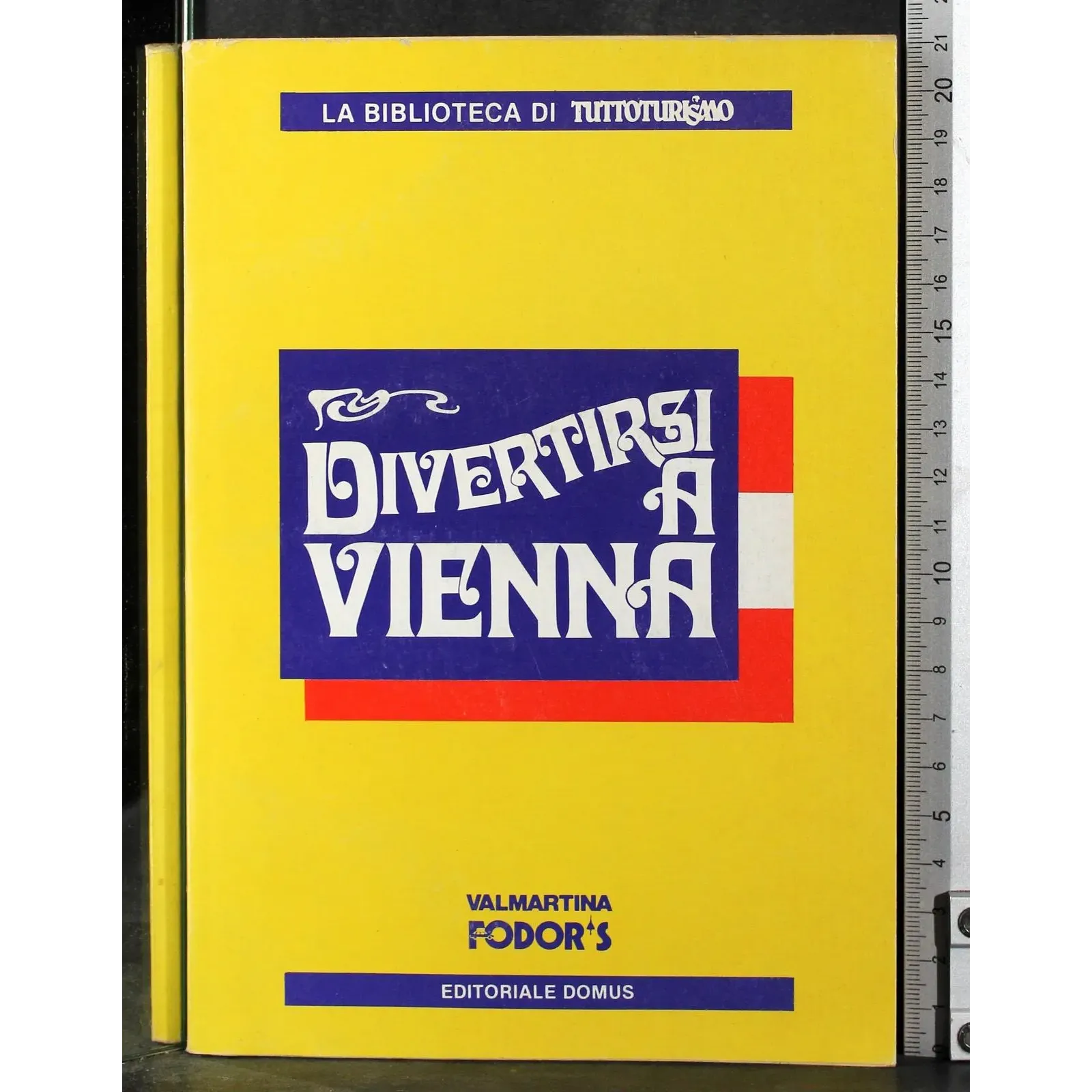 Divertirsi a Vienna