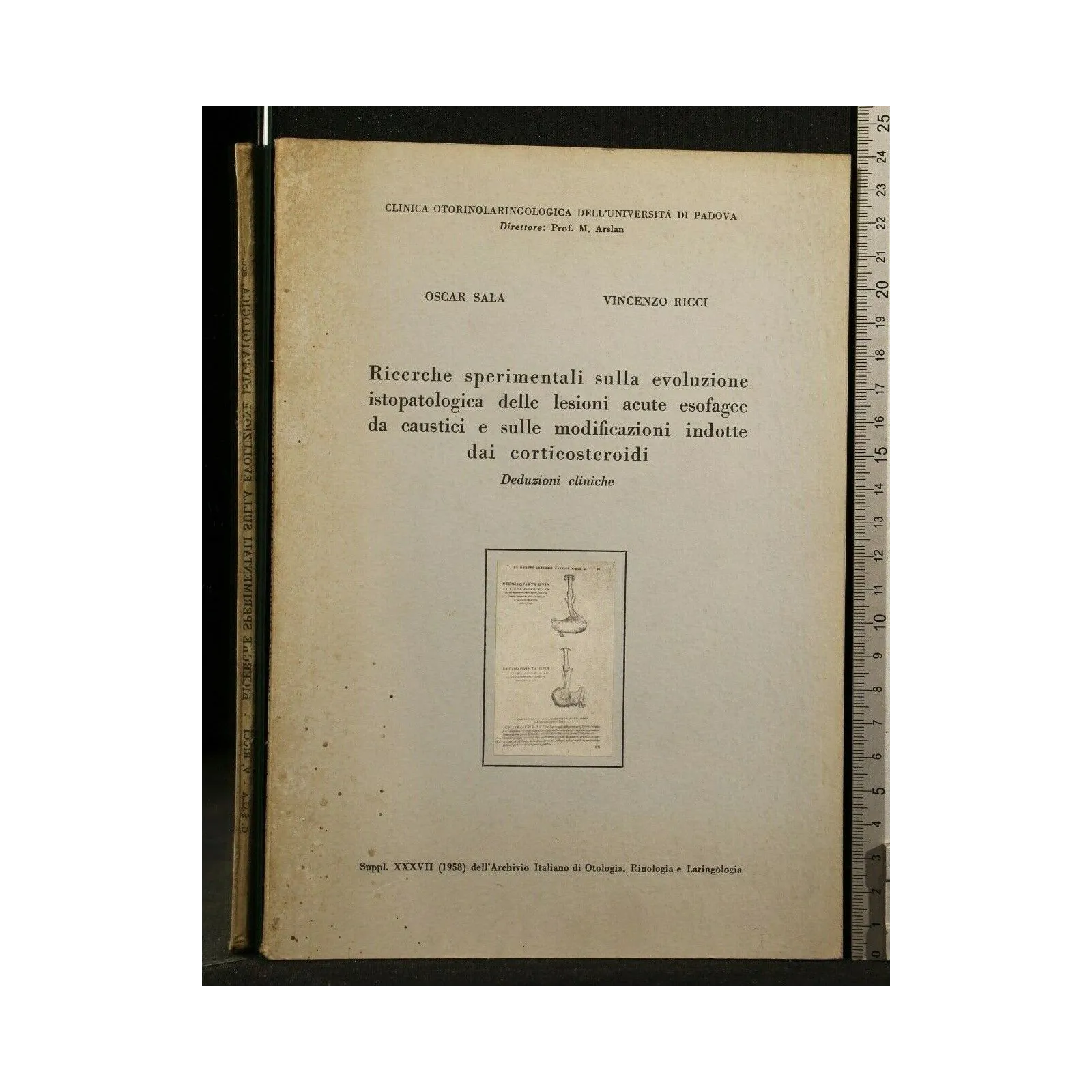 RICERCHE SPERIMENTALI SULLA EVOLUZIONE ISTOPATOLOGICA DELLE