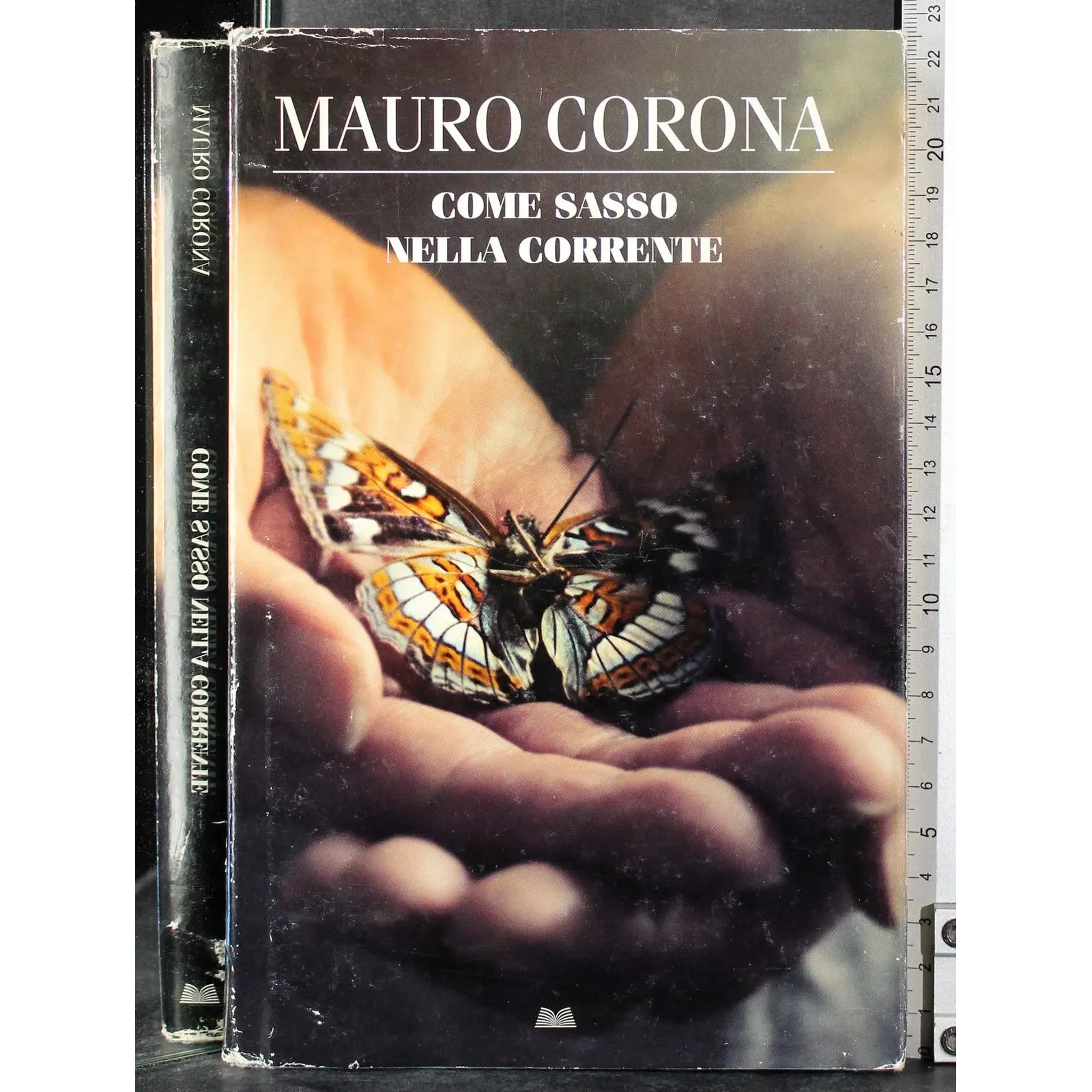 Come sasso nella corrente