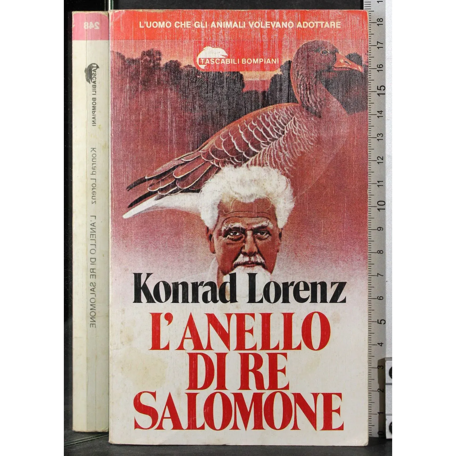 L'anello di Re Salomone
