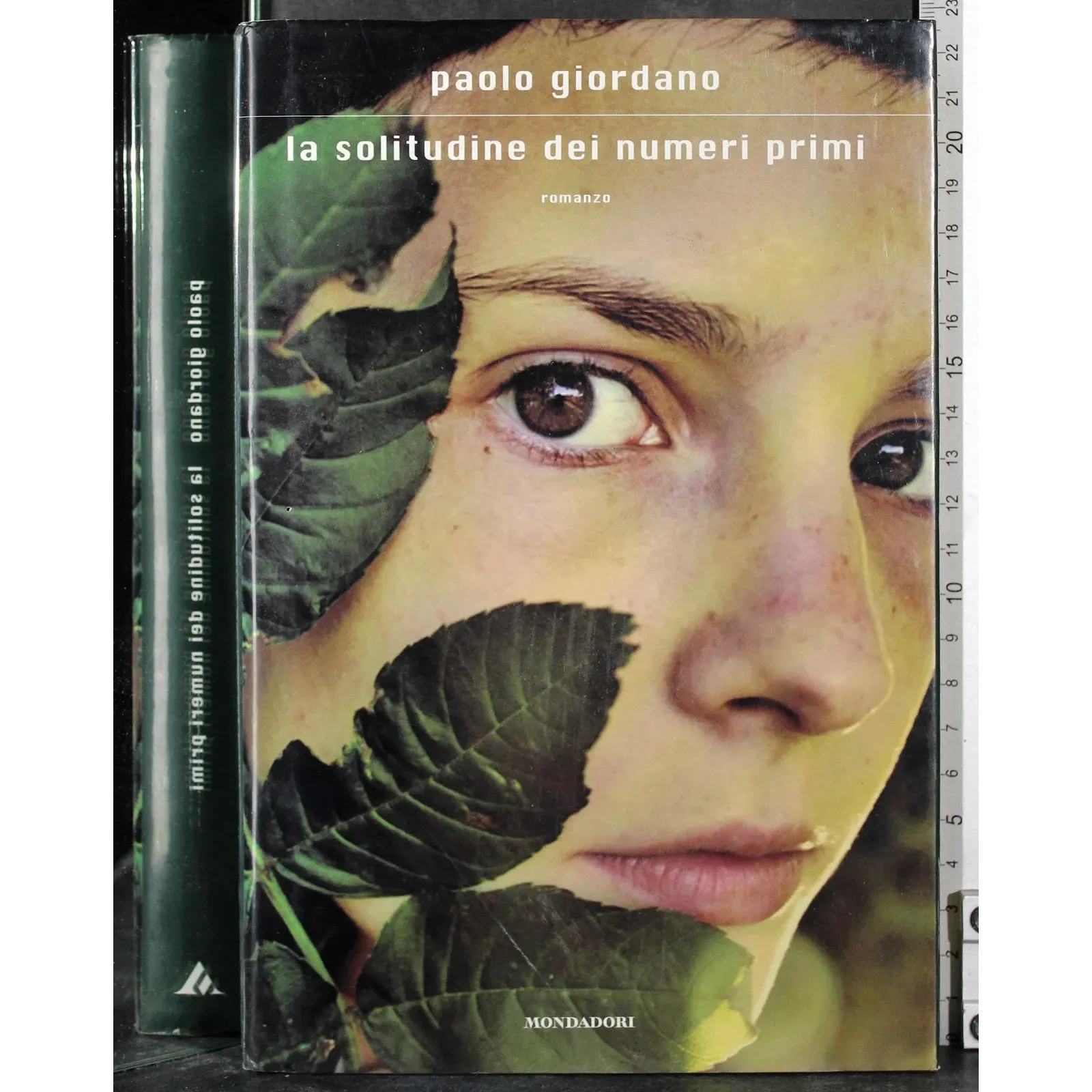 La solituidine dei numeri primi