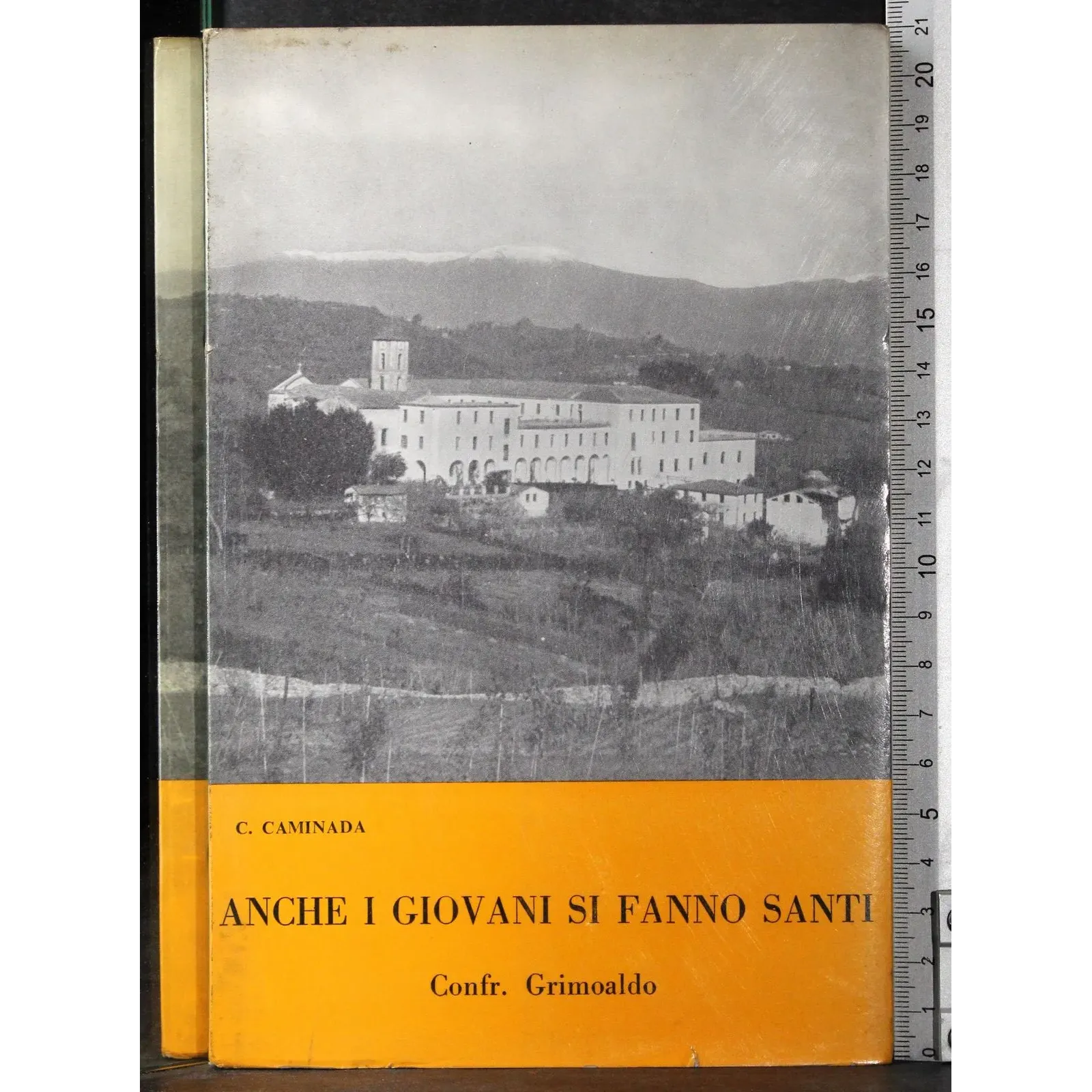 Anche i giovani si fanno Santi