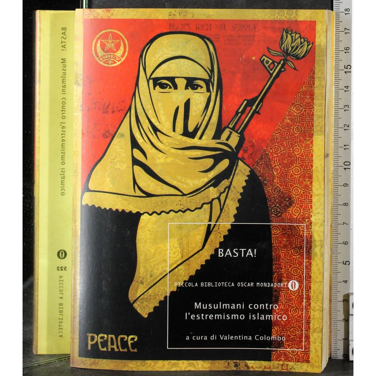 Basta! Musulmani contro l'estremismo islamico