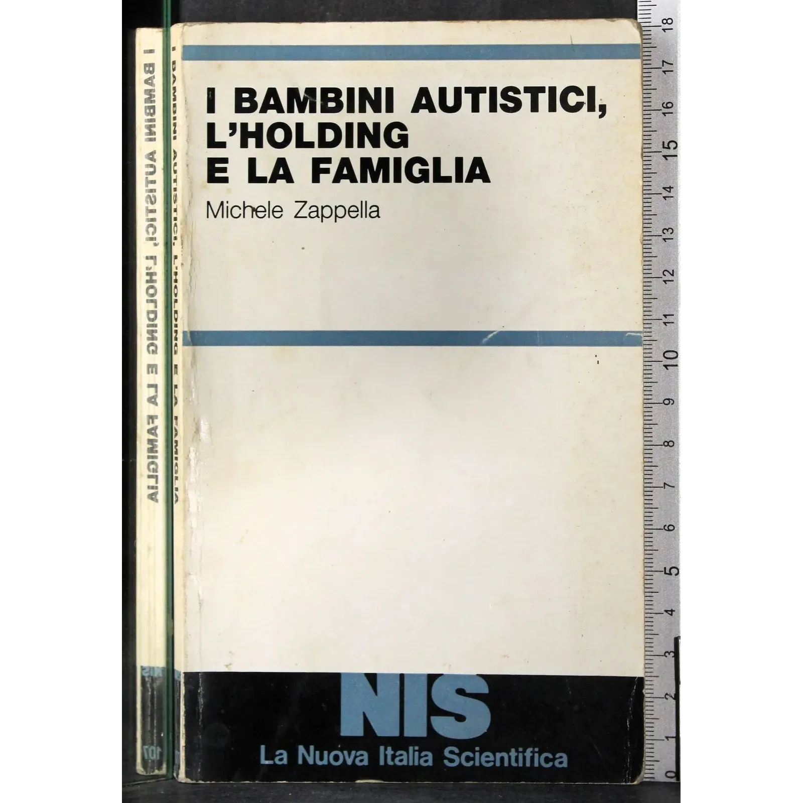 I bambini autistici, l'holding e la famiglia