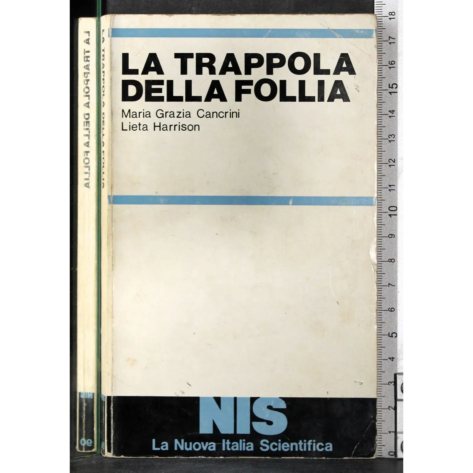 La trappola della follia
