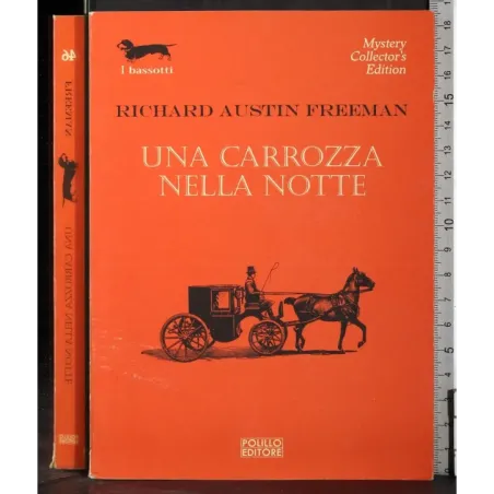 Una carrozza nella notte