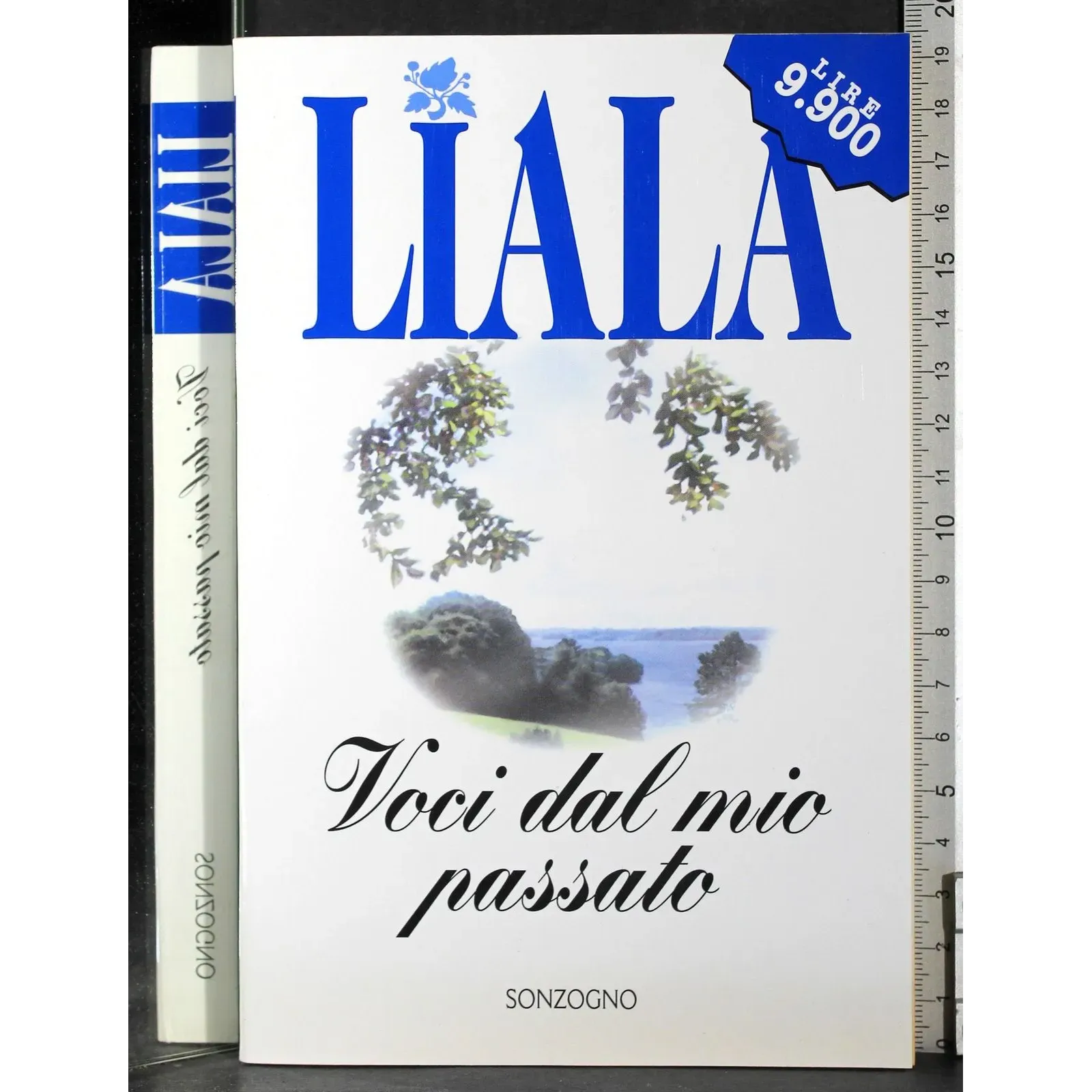 Voci dal mio passato