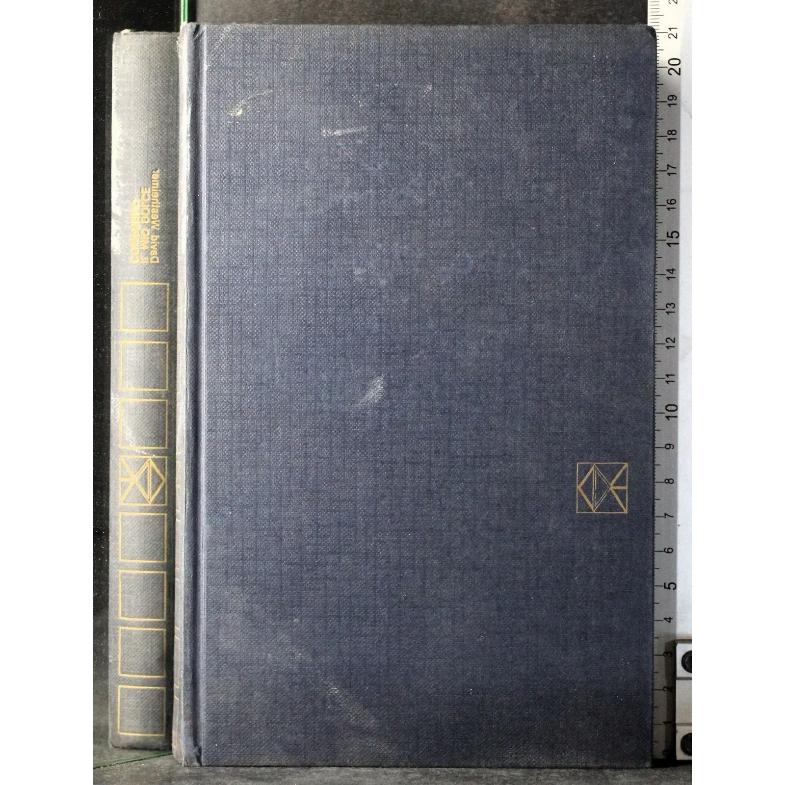 Il mio dolce compagno