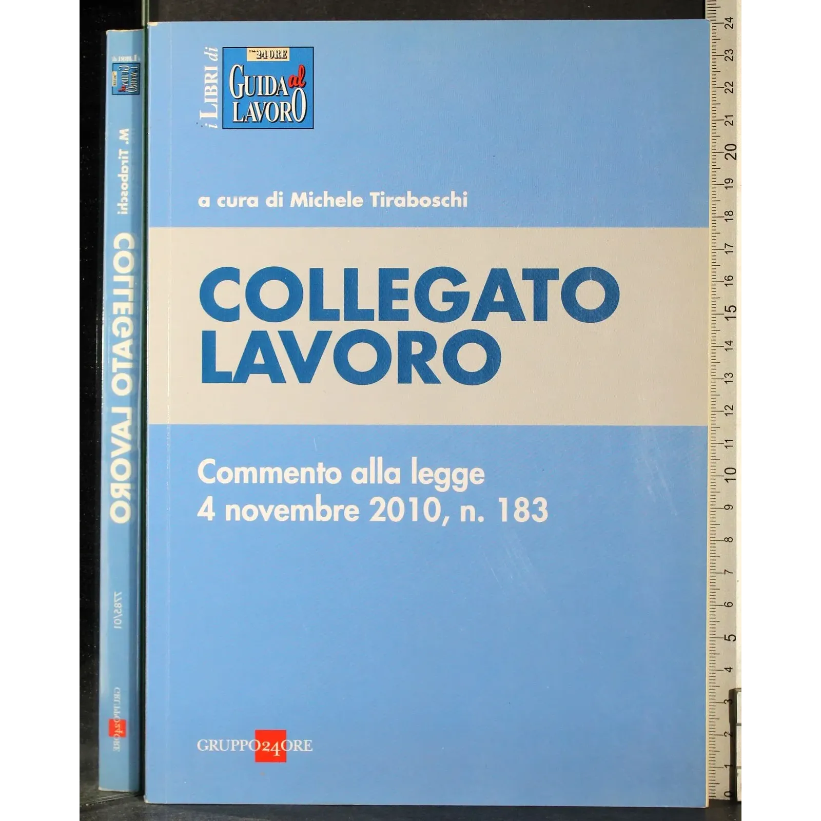 Collegato lavoro