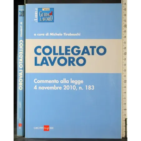 Collegato lavoro