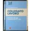 Collegato lavoro