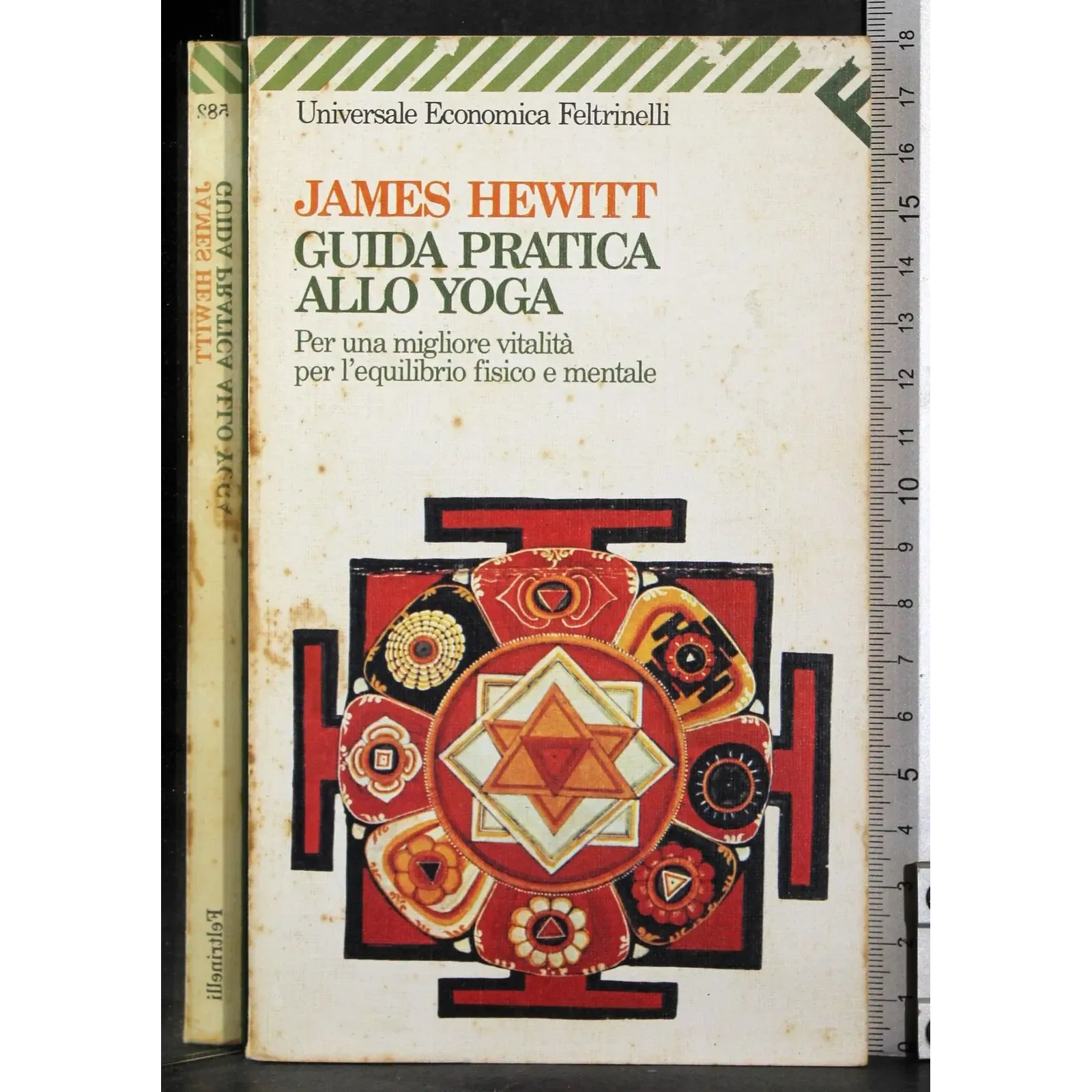 Guida pratica allo yoga