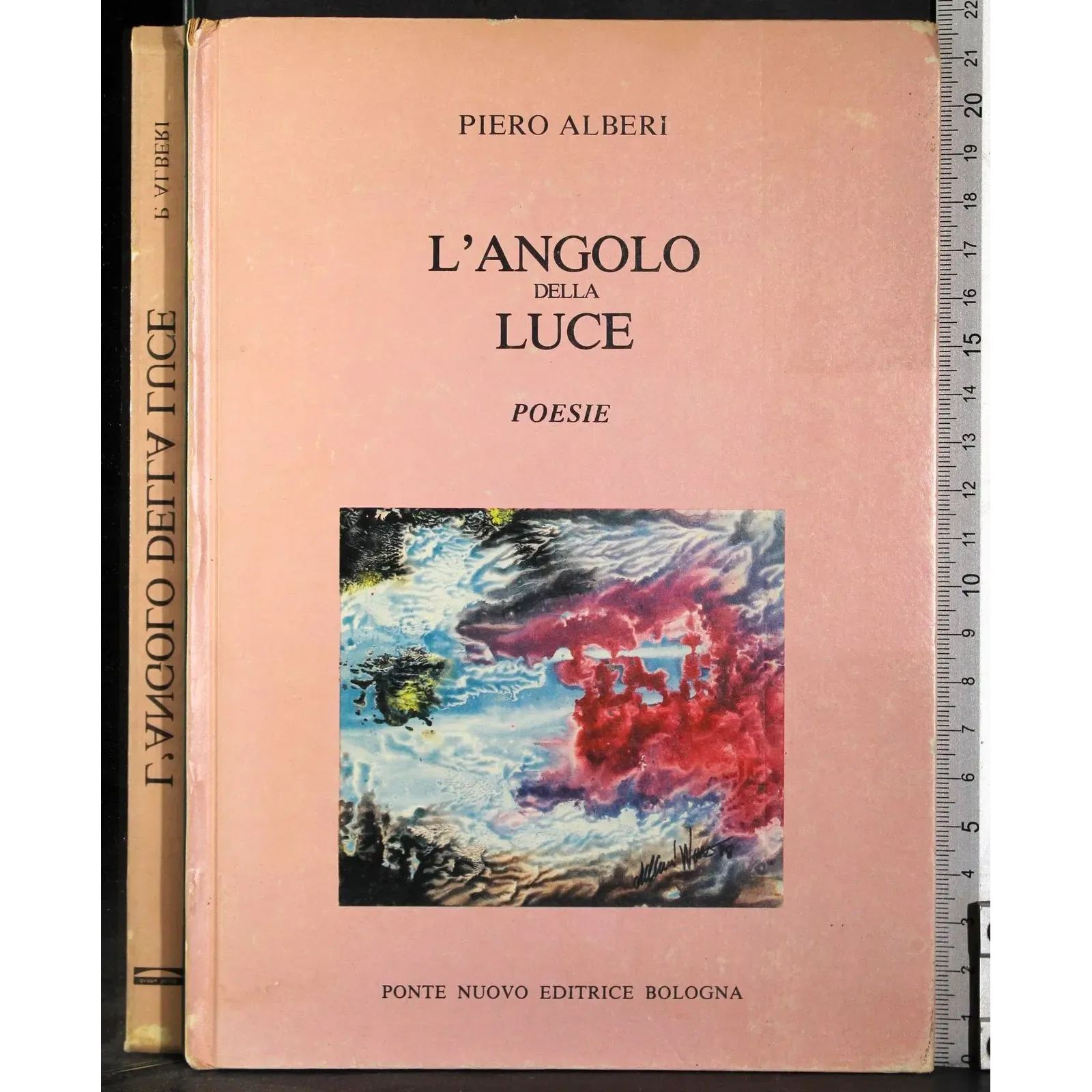 L'angolo della luce. Poesie