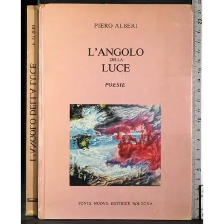 L'angolo della luce. Poesie