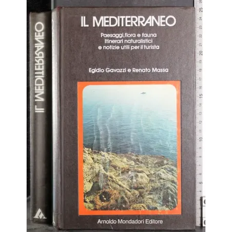 Il Mediterraneo
