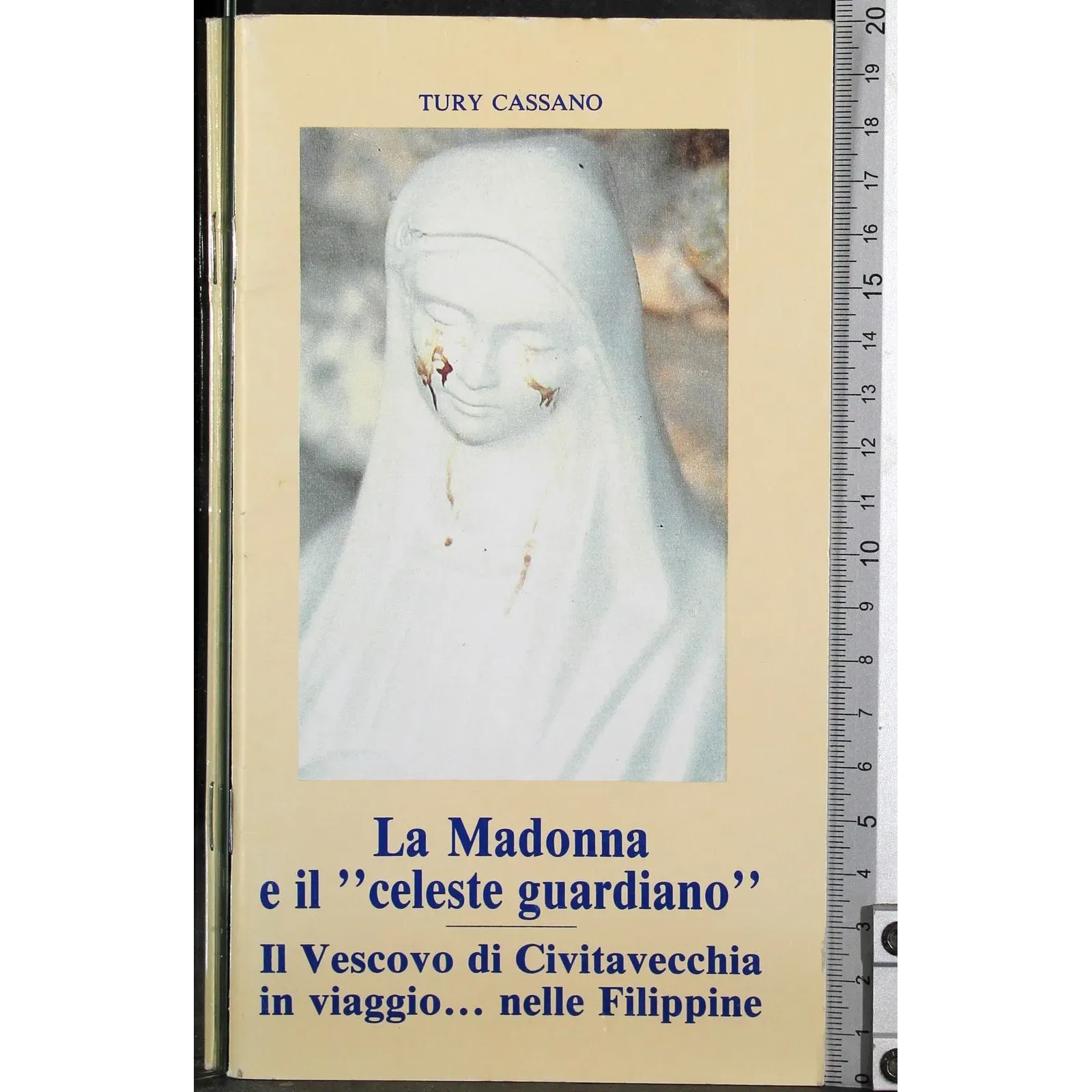 La Madonna e il ''celeste guardiano''