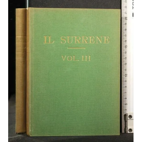 IL SURRENE VOL 3