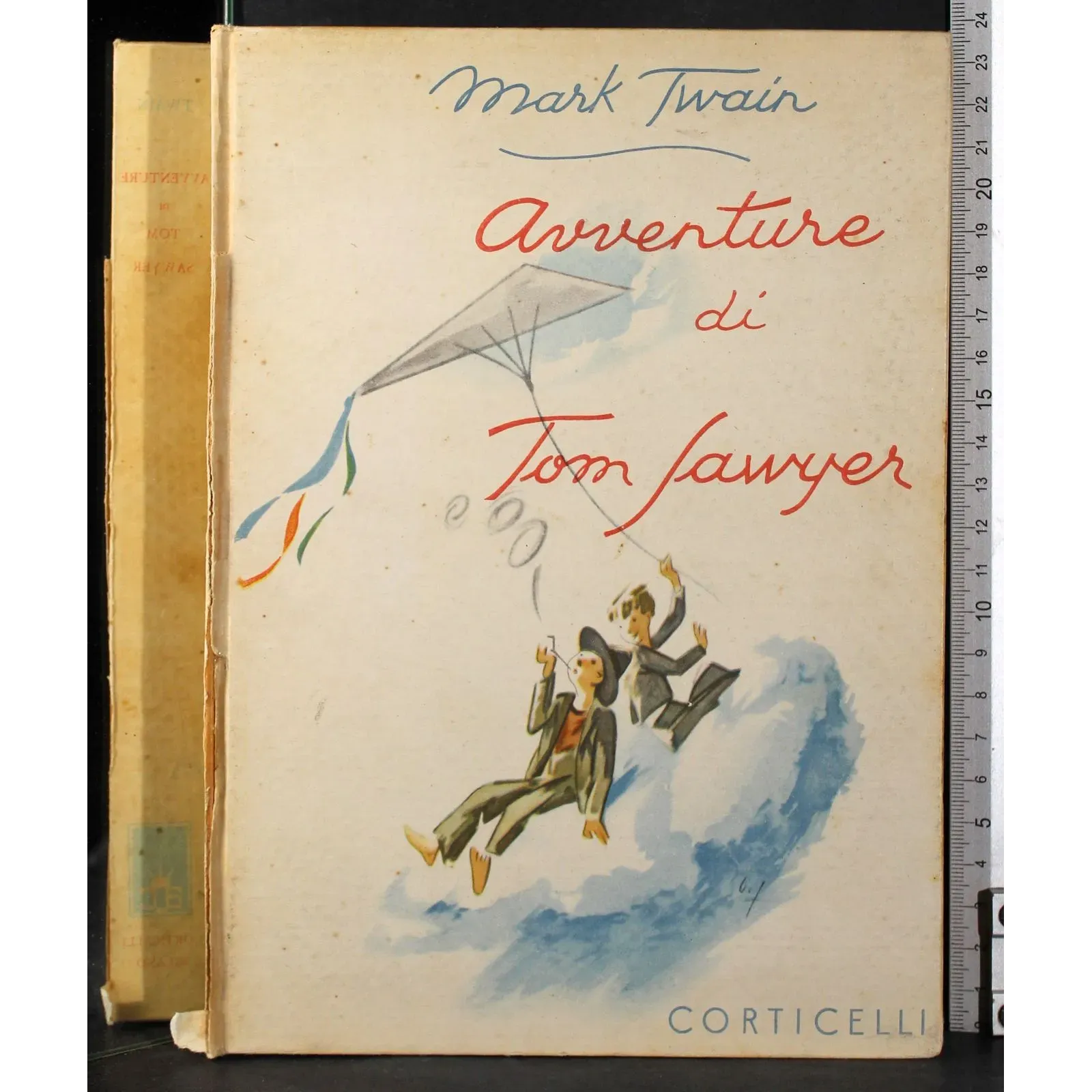 Avventure di Tom Sawyer