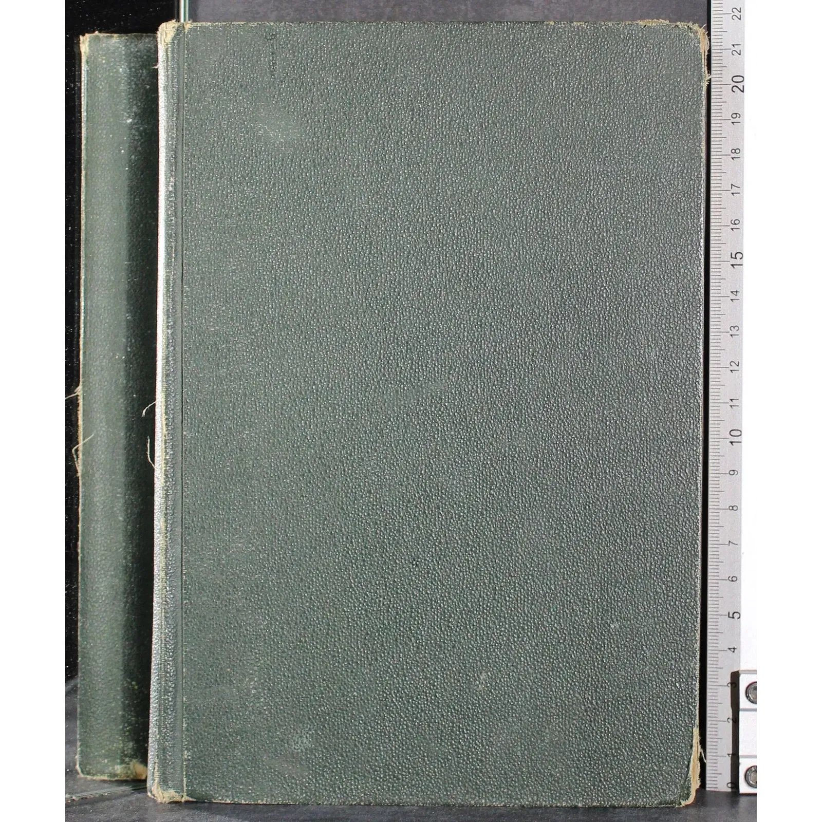 I figli del Capitano Grant