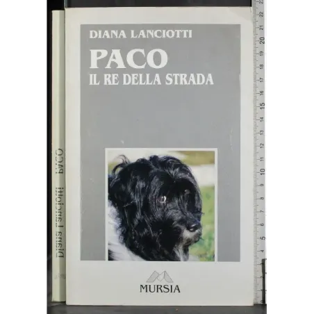 Paco. Il re della strada