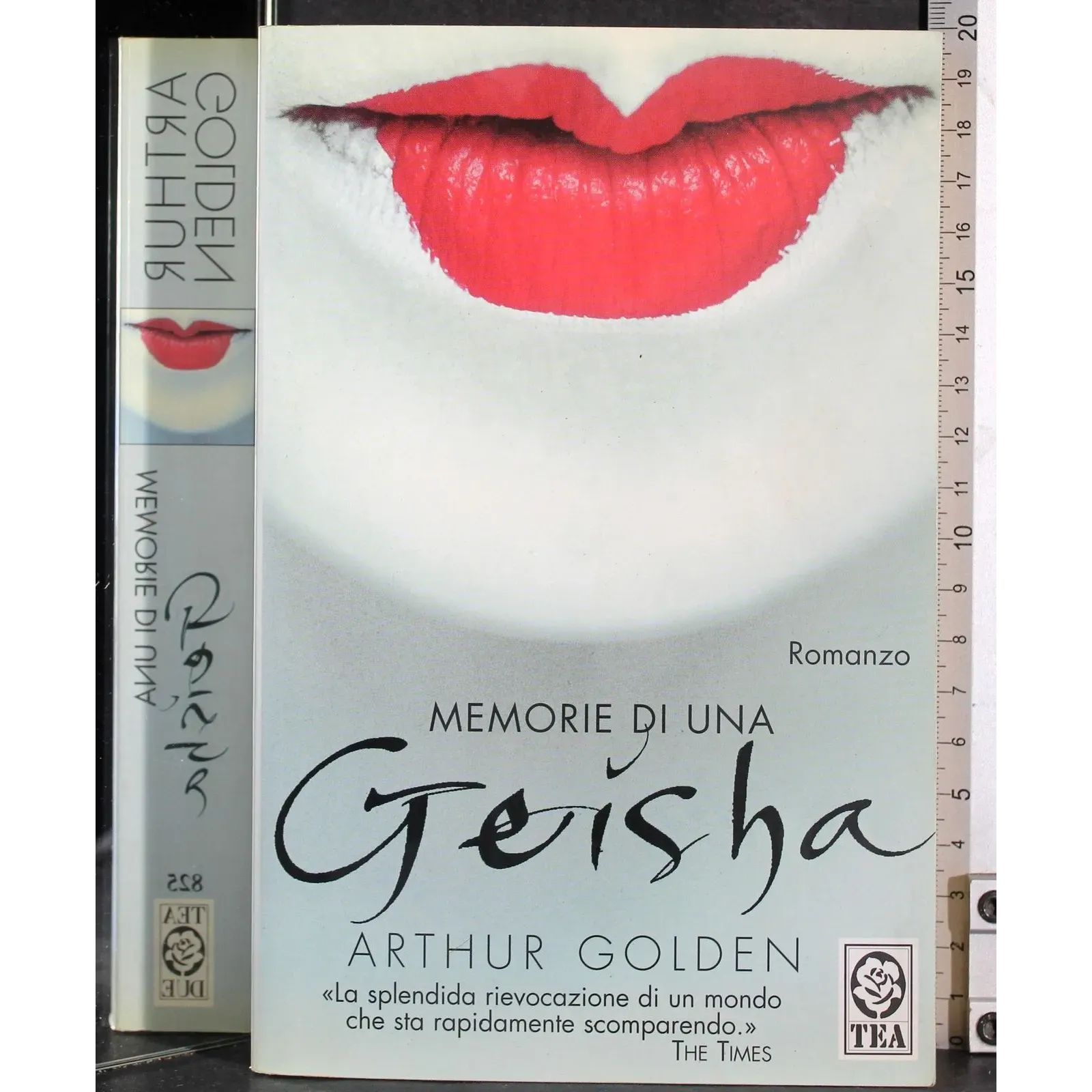 Memorie di una Geisha