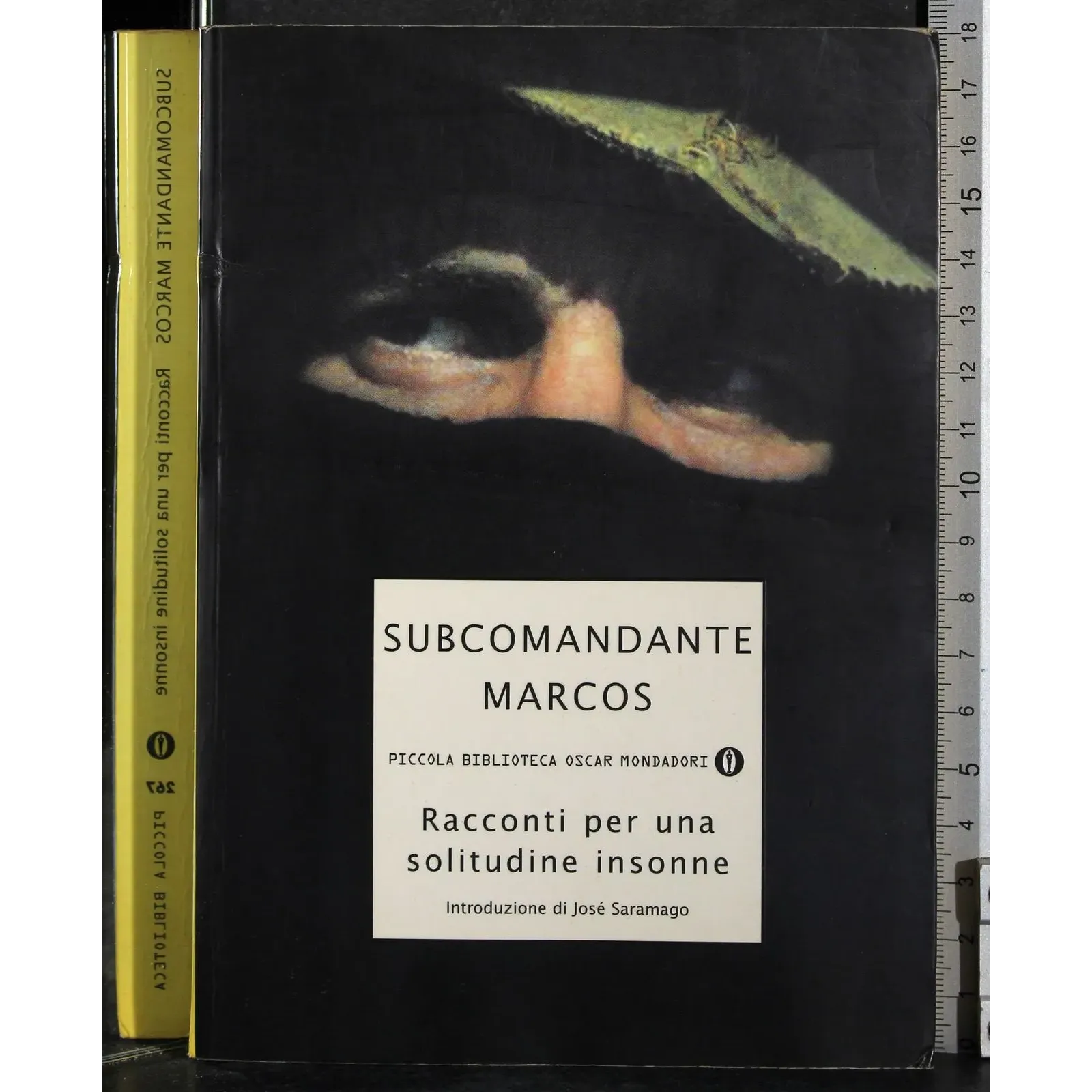 Racconti per una solitudine insonne