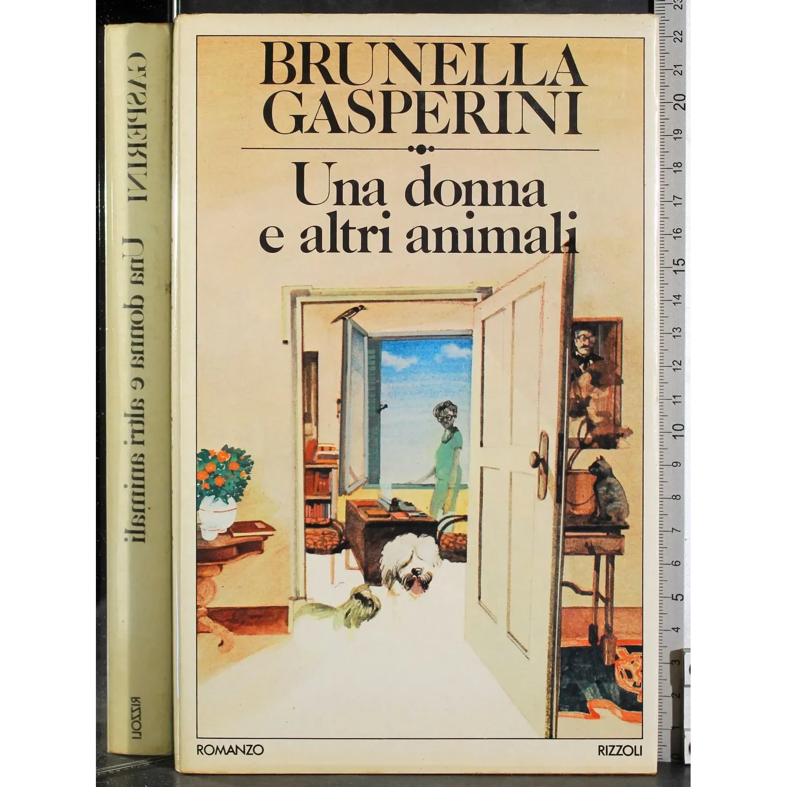 Una donna e altri amanti