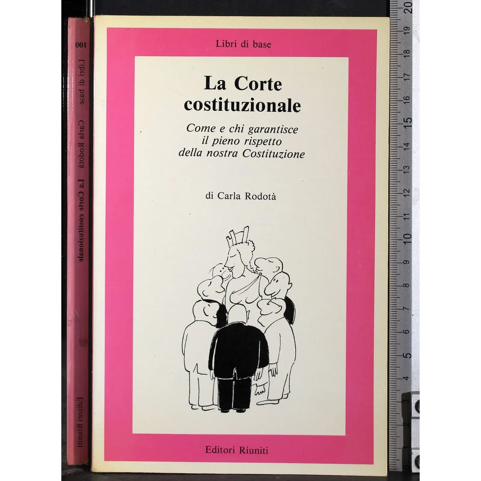 La Corte costituzionale