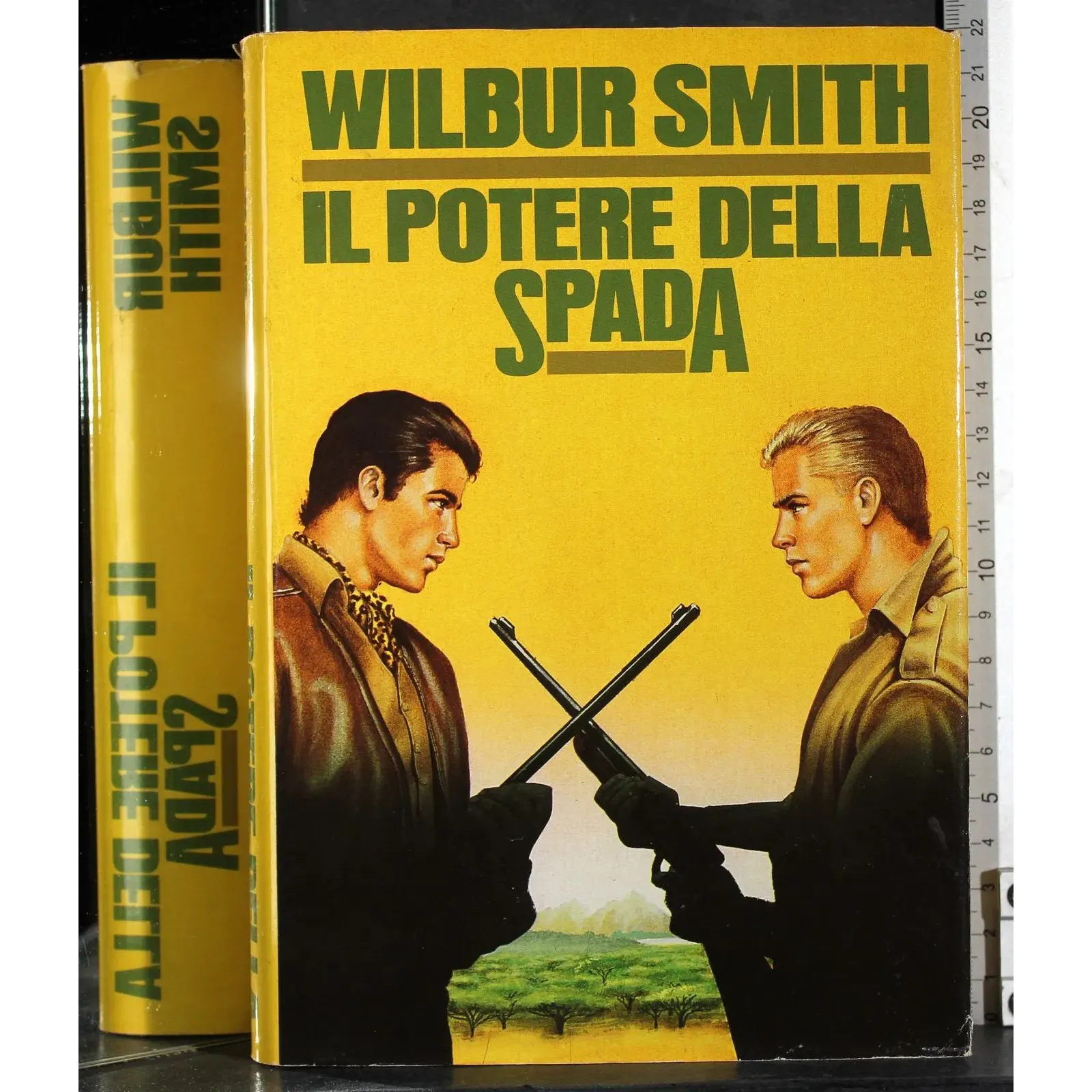 Il potere della spada