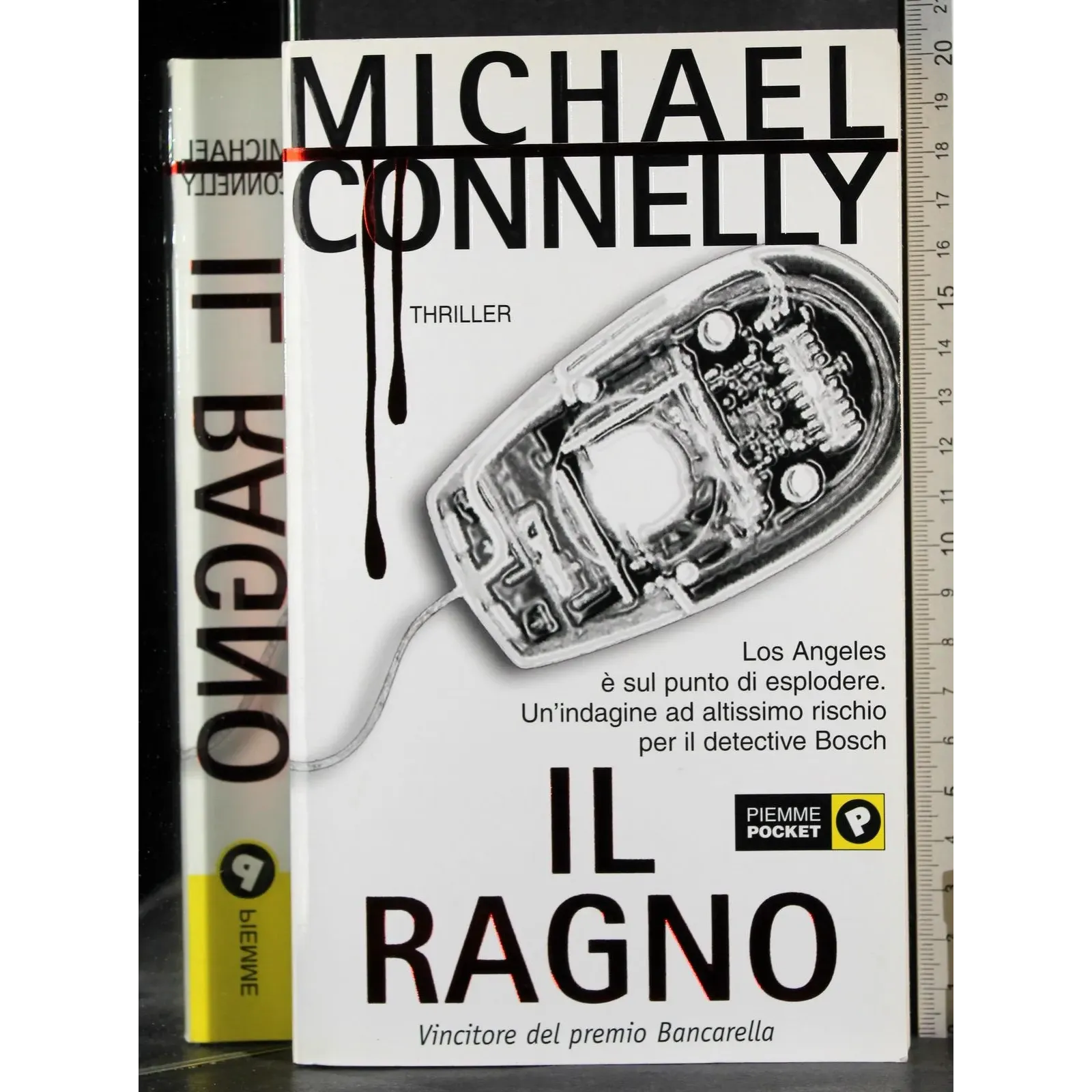 Il ragno