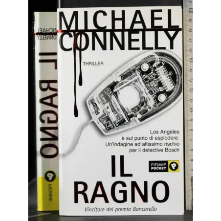 Il ragno