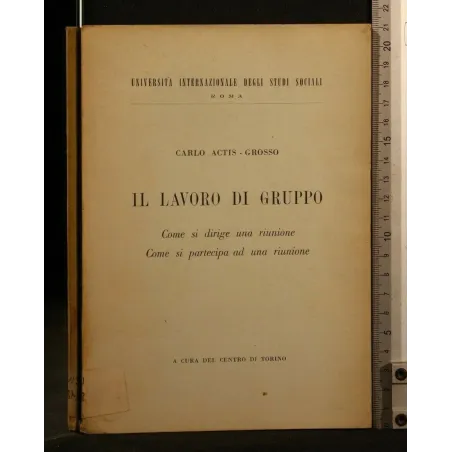IL LAVORO DI GRUPPO