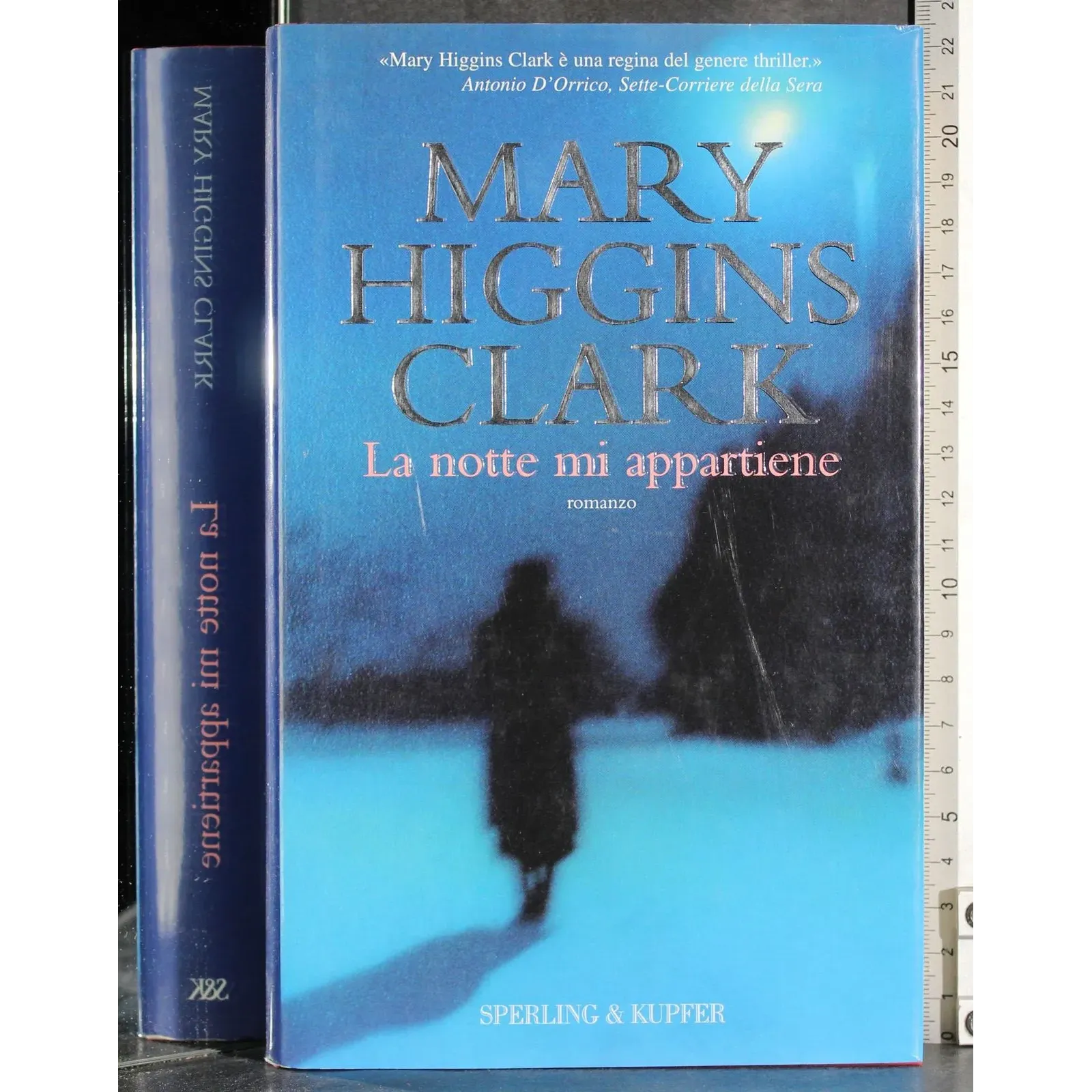 La notte mi appartiene