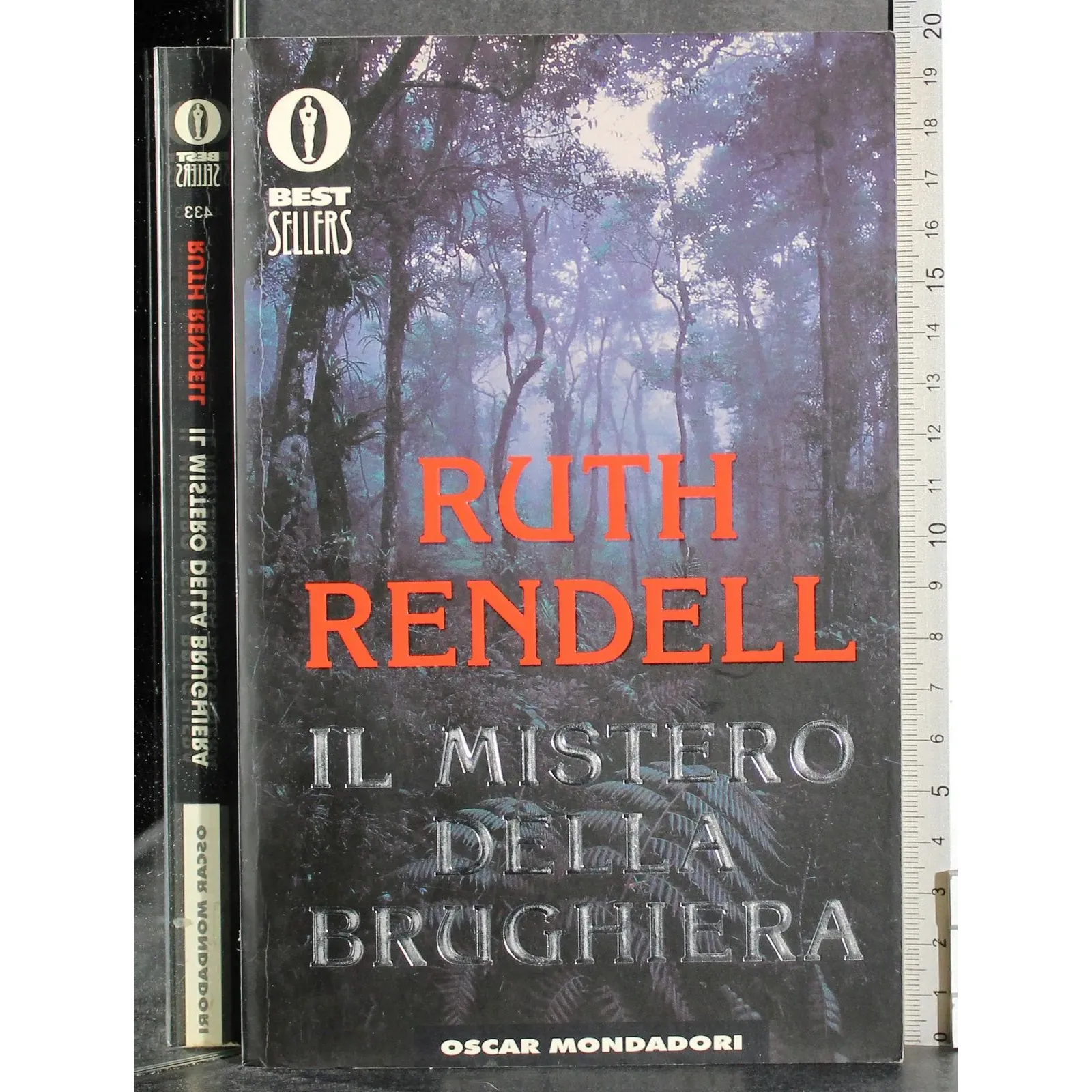 Il mistero della brughiera