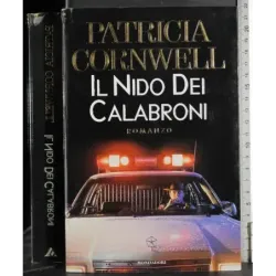 Il nido dei calabroni