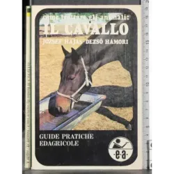 Come trattare gli animali: Il cavallo