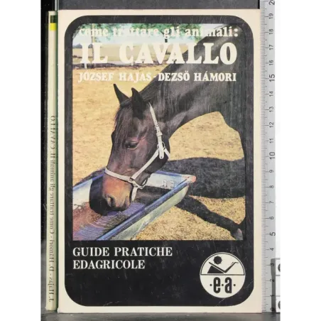 Come trattare gli animali: Il cavallo
