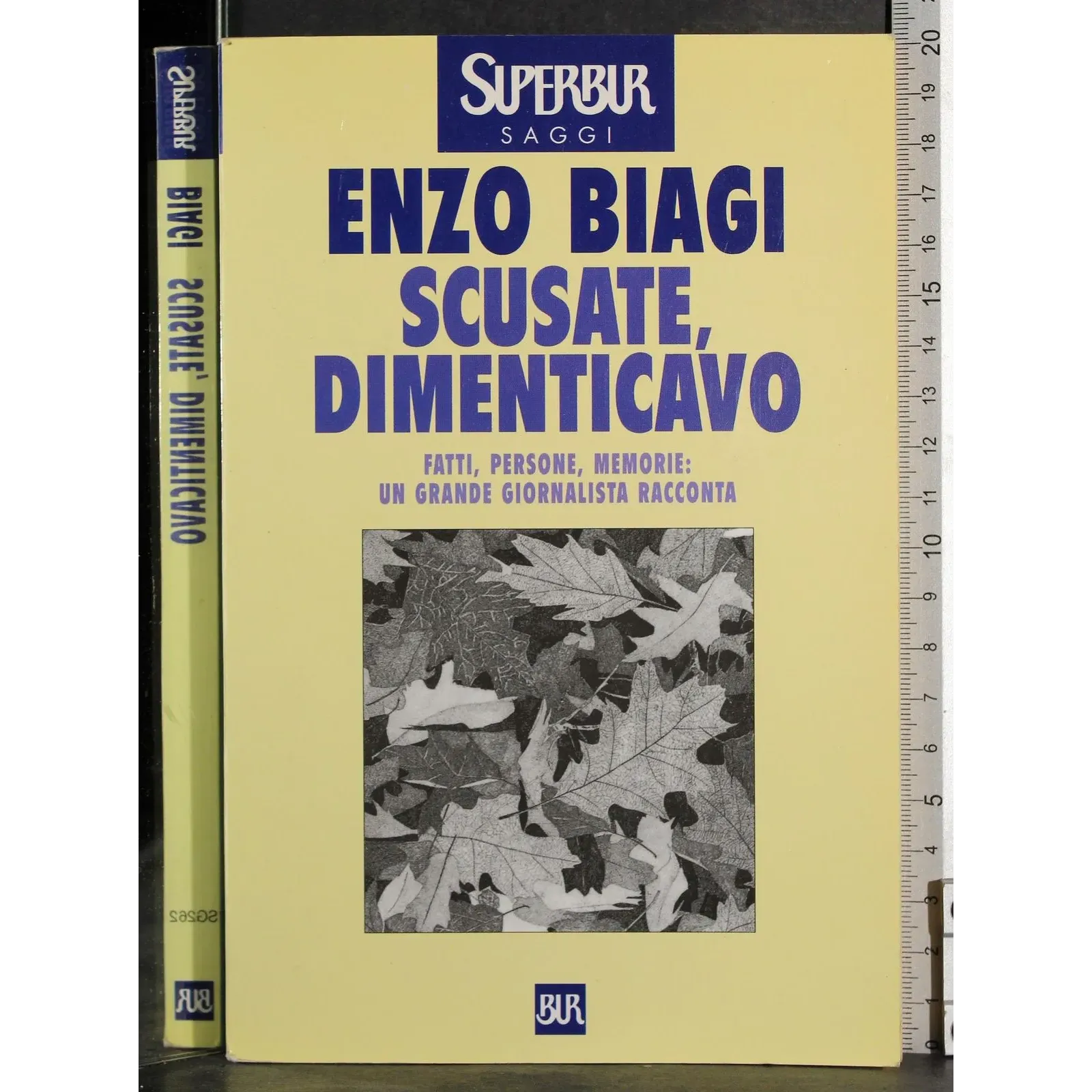 Scusate, dimenticavo