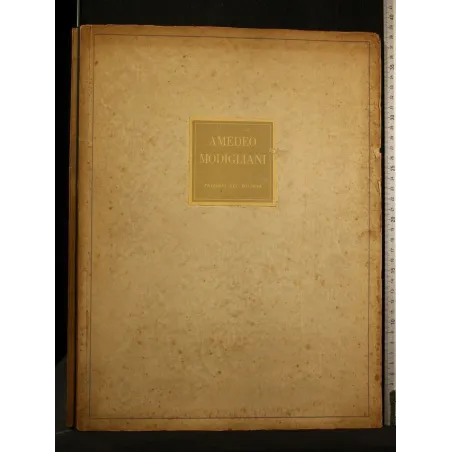 AMEDEO MIDIGLIANI