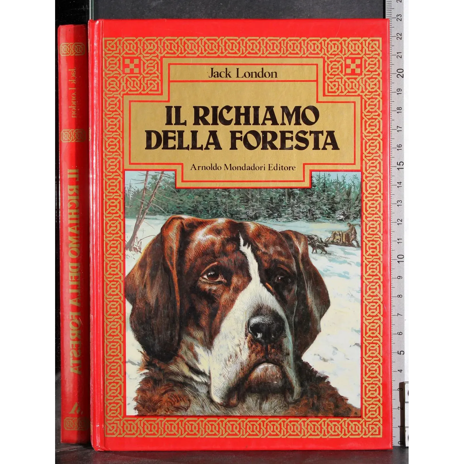 Il richiamo della foresta