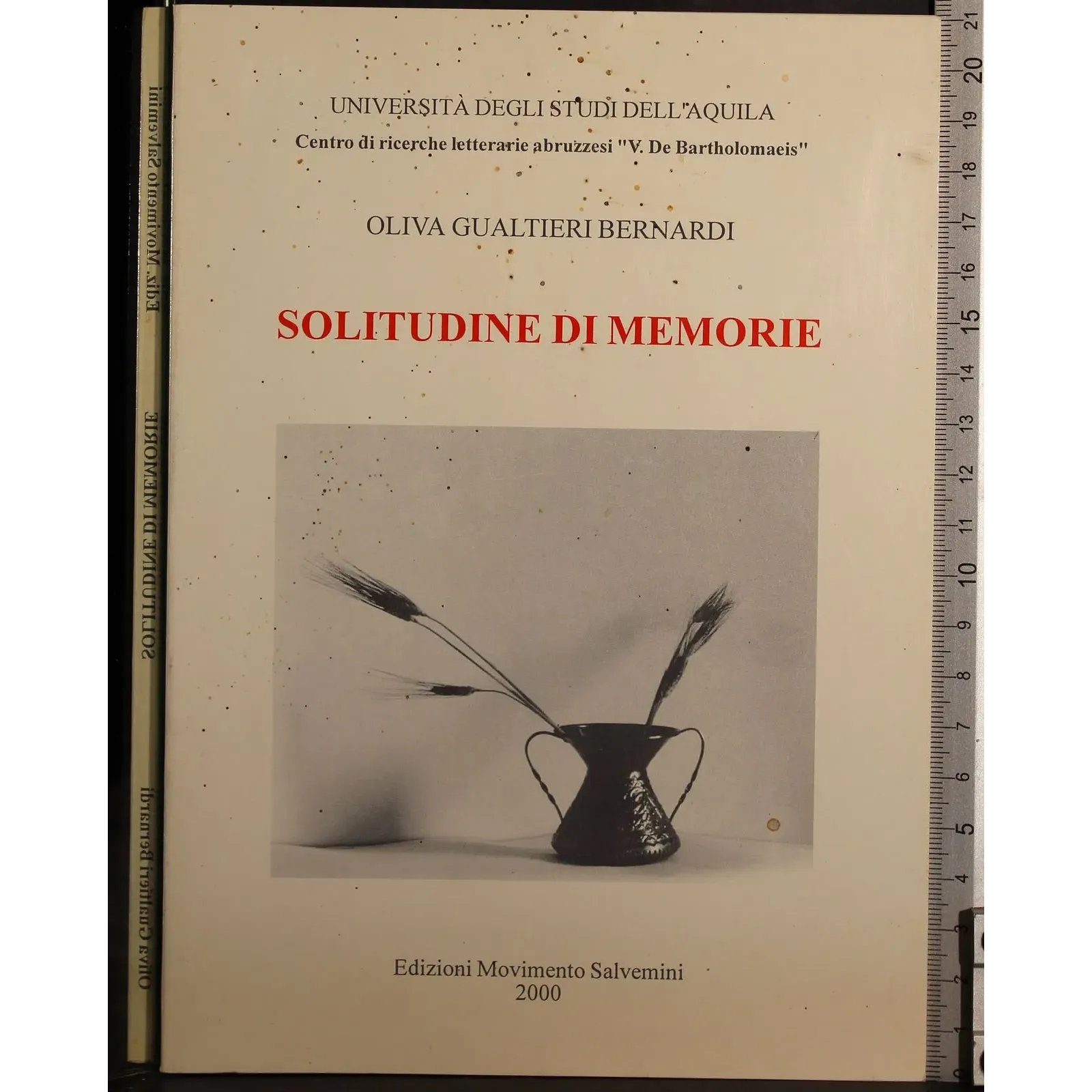 Solitudine di memorie
