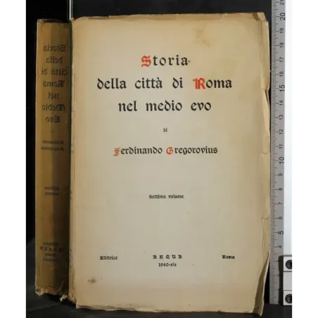 Storia della città di Roma ne medio evo. Vol 7