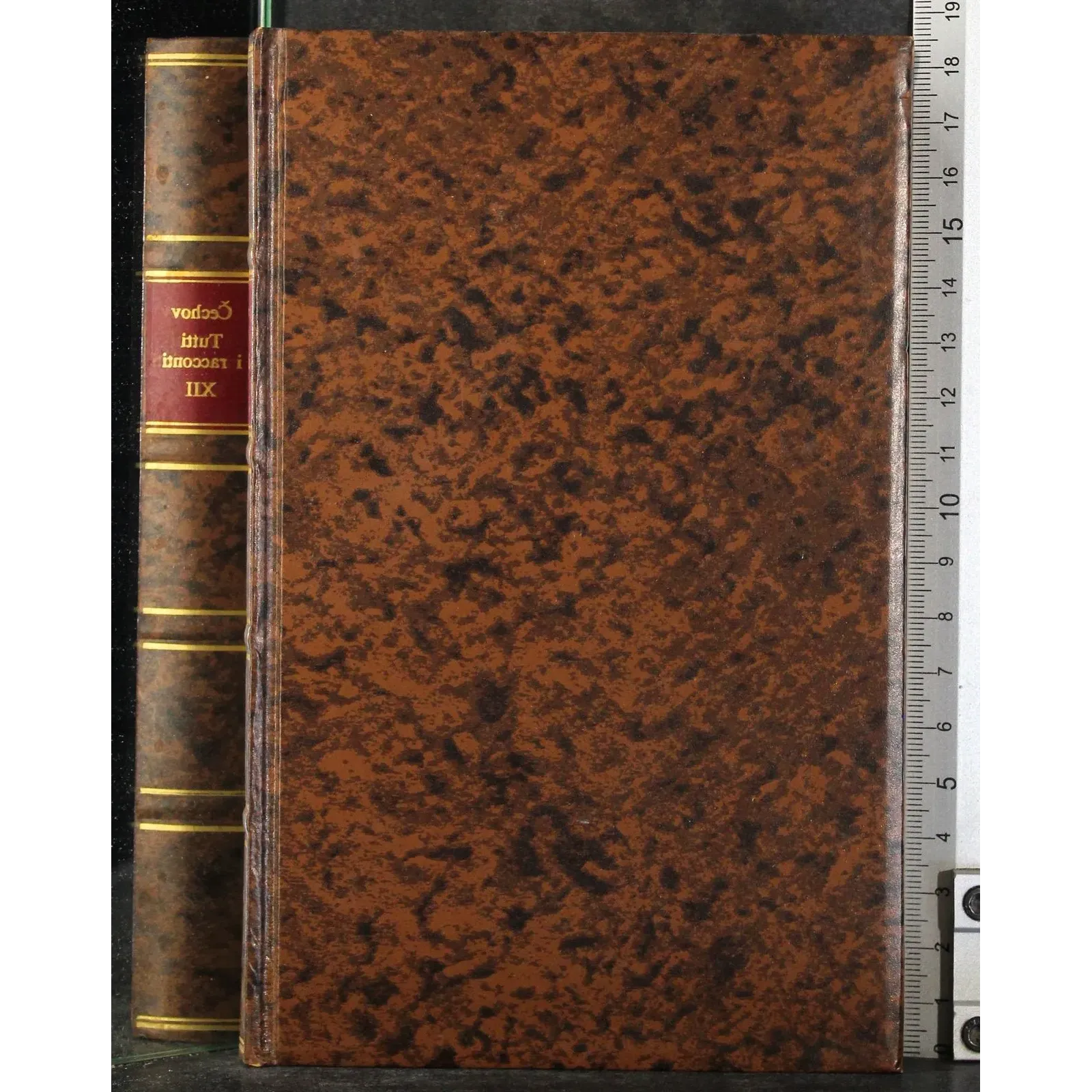 Tutti i racconti XII. Anima cara